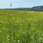 Apartman Schwarzwald Residenz Hirschen Schönwalde