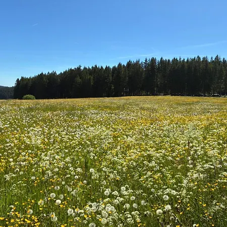 Schwarzwald Residenz Hirschen Apartamento *