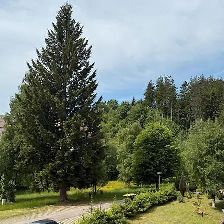 Apartament Schwarzwald Residenz Hirschen *