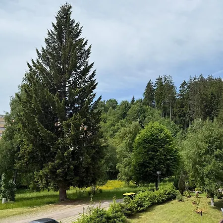 Schwarzwald Residenz Hirschen Schönwalde