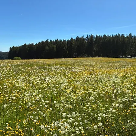 Апартаменты Schwarzwald Residenz Hirschen Шёнвальд